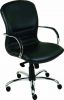 K�eslo Pavia rektor chrom