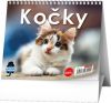 Stolní kalendář - IDEÁL - Kočky /s kočičími jmény/