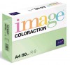 Xero.p.Coloraction Image A480g/str.zelen 382029 Forestá