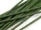 Floristický drát 2,5 mm, délka 40 cm - 1 zelené kapradí, 20 ks