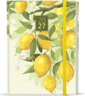 Denní diář - Adam - Lamino - B6 - Citron