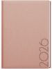 Denní diář - David - Tora - A5 - pudrová