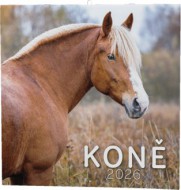Nástěnný kalendář - Koně - zvětšit obrázek