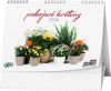 Stolní kalendář - Pokojové květiny