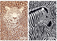 Záznamní kniha A5, čtvereček, Animal Print