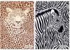 Záznamní kniha A5, čtvereček, Animal Print