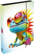 Box na sešity A4 Jumbo Chameleon
