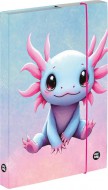 Box na sešity A5 Axolotl