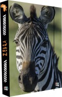 Box na sešity A4 Jumbo Zebra 76923