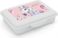 Box na svačinu s přihrádkou kůň romantic - lovely horse