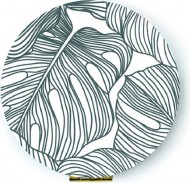 Zrcátko Monstera - zvětšit obrázek