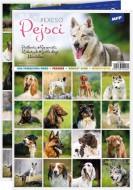 Pexeso 3xA4 Pejsci 5300902 - zvětšit obrázek