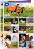Pexeso 3xA4 Koně 5300904 - zvětšit obrázek