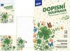 Dopisní papír barevný LUX 5+10 (Čtyřlístek) 5550369