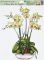 Okenní fólie 887 orchideje 42x30cm