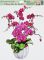 Okenní fólie 887 orchideje 42x30cm