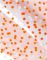 sáček 20x32 New Point 5800770