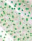 sáček 20x32 New Point 5800770