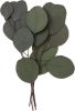 Přízdoba Eukalyptus NATURE 18cm/4ks, sušená