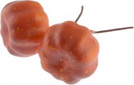 Přízdoba Dýně na drátku oranžová, 11cm, 6ks