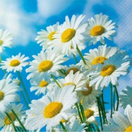 Ubrousky celoroční Sun Daisies, 33 x 33 cm - zvětšit obrázek