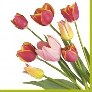 Ubrousky celoroční SDWI 0071 01, Tulipány