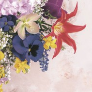 Ubrousky celoroční SDWI 0092 01