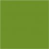 Ubrousky DUNISOFT Leaf Green, 40x40cm