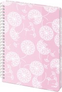 College blok A4 – Bliss