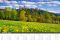 Kalendář Šumava