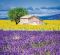 Kalendář Provence - vázanka
