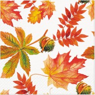 Ubrousky PAW Dekor L (20ks) Fall colors