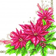 Ubrousky DAISY L (20ks) Elegant Poinsettia - zvětšit obrázek
