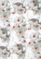 Balící papír 70x100 cm Orchidee - zvětšit obrázek