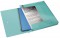 Box na spisy Esselte Colour Ice