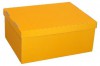 Krabička s víkem 333 x 255 x 146 mm 