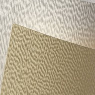 Karton A3 Kůra ivory 270g - 50 ks  - zvětšit obrázek