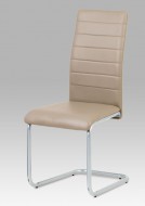Jídelní židle DCL-102 CAP - zvětšit obrázek