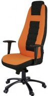 Židle Stripo Comfort 545x - zvětšit obrázek