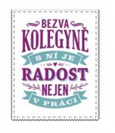 Skládací taška - Kolegyně - zvětšit obrázek