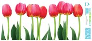 Dekorační fokie na okno Pás tulipánů - zvětšit obrázek
