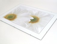 Foto clip 21x30 cm