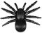 pavouk černý 5ks
