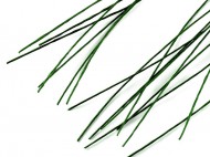 Floristický drát 0,7 mm, délka 40 cm 1 (0,7 mm) zelené kapradí, 100 ks - zvětšit obrázek